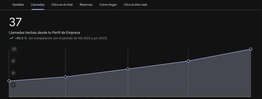 Google my businnes llamadas